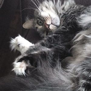 Meet your Posher, Marianne